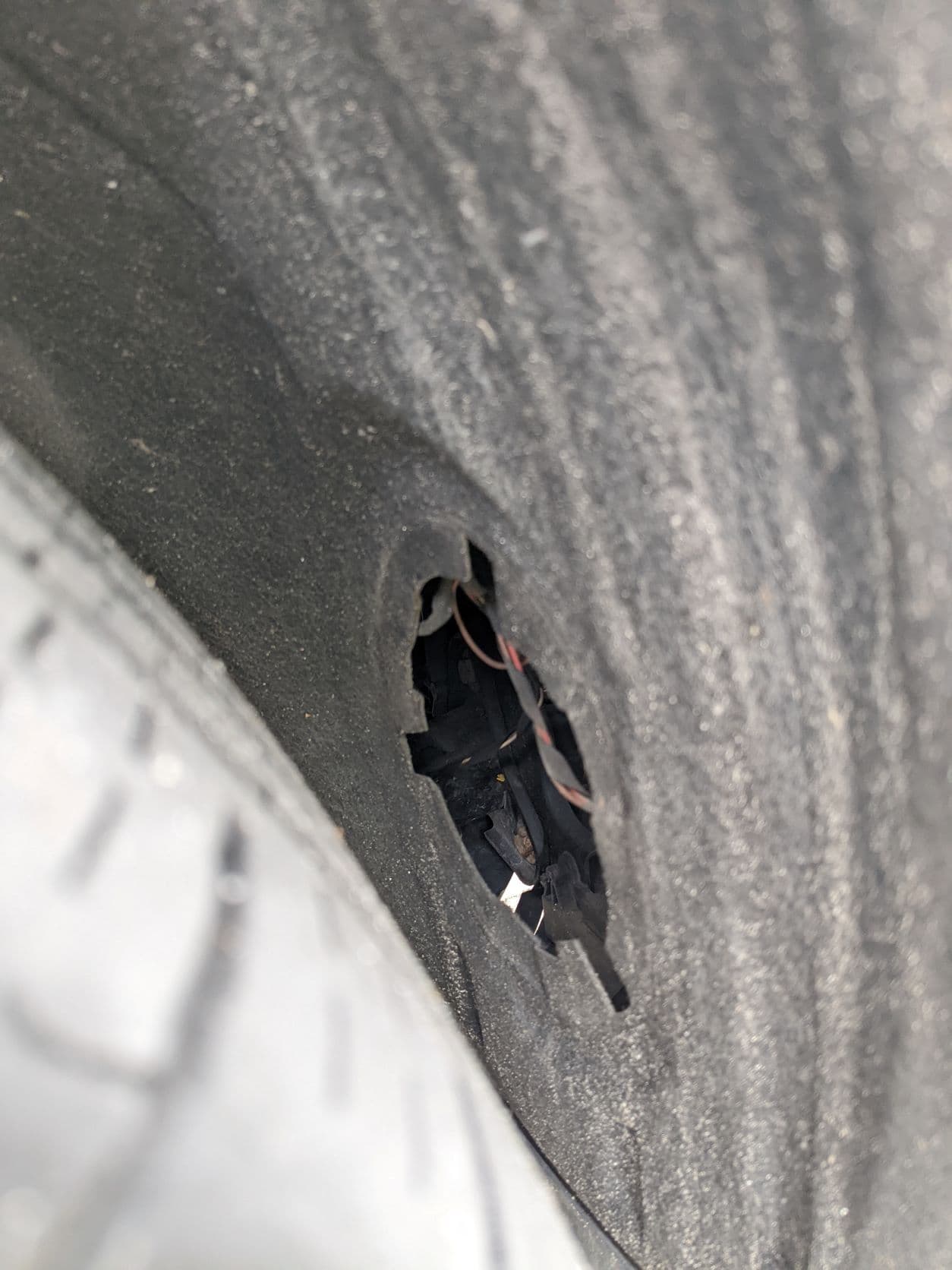 MINI cooper fender access cap - image 2 of 3