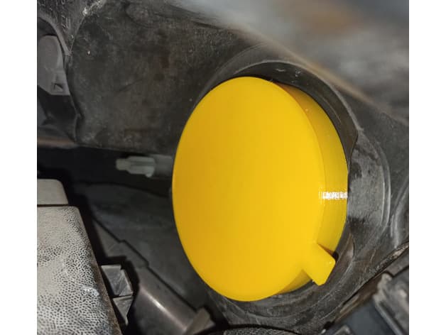 Renault Scenic headlamp plug preview
