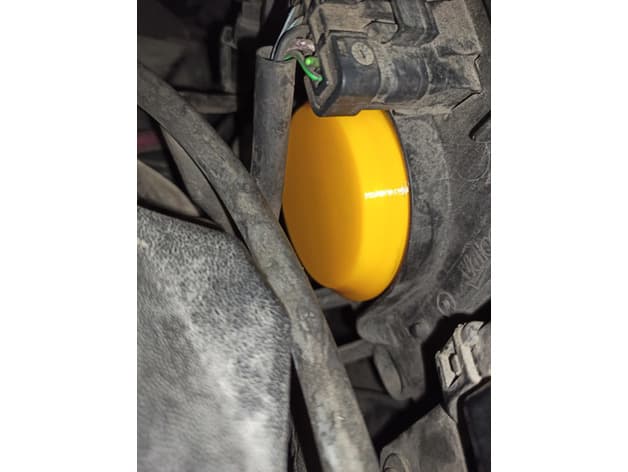 Photo of Renault Scenic headlamp plug
