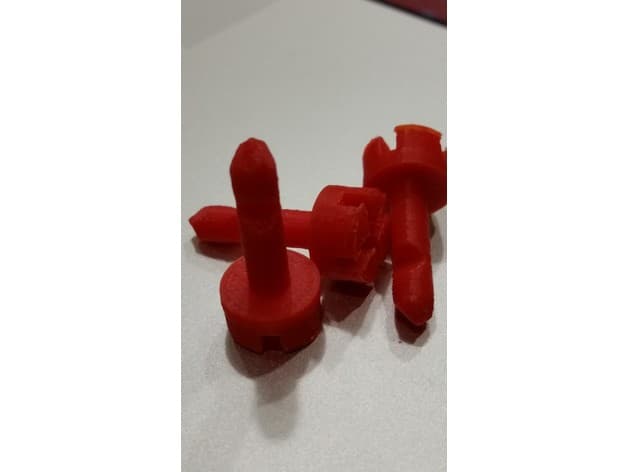 Photo of Audi quick release hold down screws